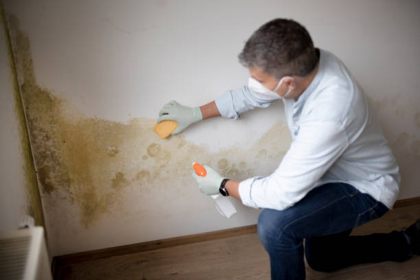 Mold Documentation for Insurance Claims in Verona Walk, FL